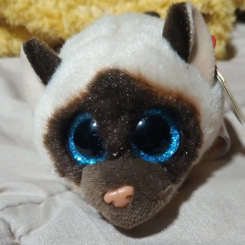 Ty - Plush Siamese Cat Toy - White and Brown- Teeny Tys